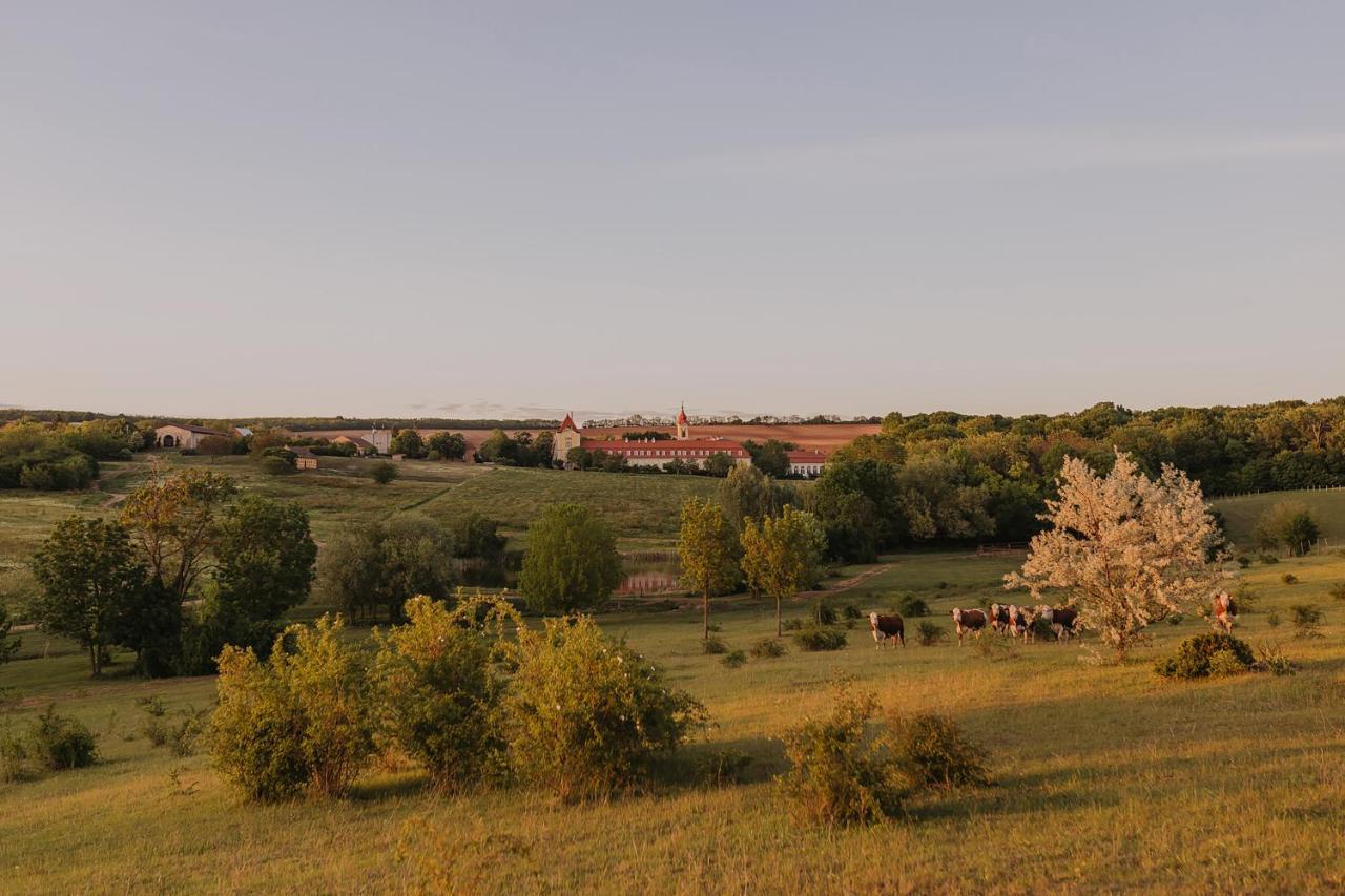 Hotel Chateau Bela Exteriör bild